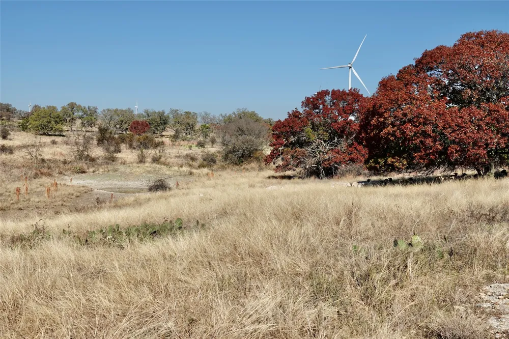 801 SH 16 Priddy, TX 76870