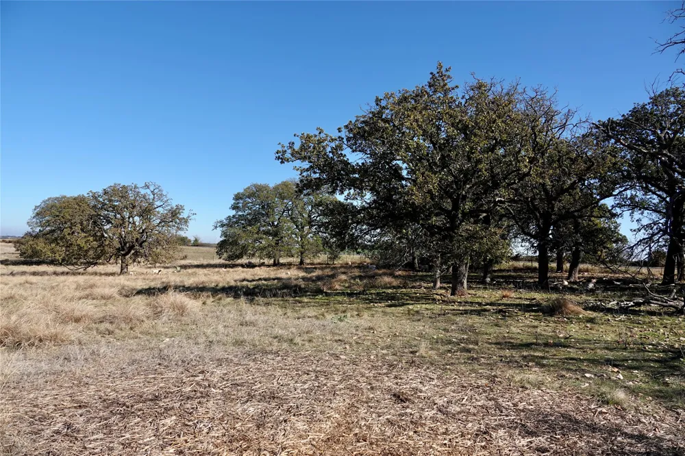 801 SH 16 Priddy, TX 76870