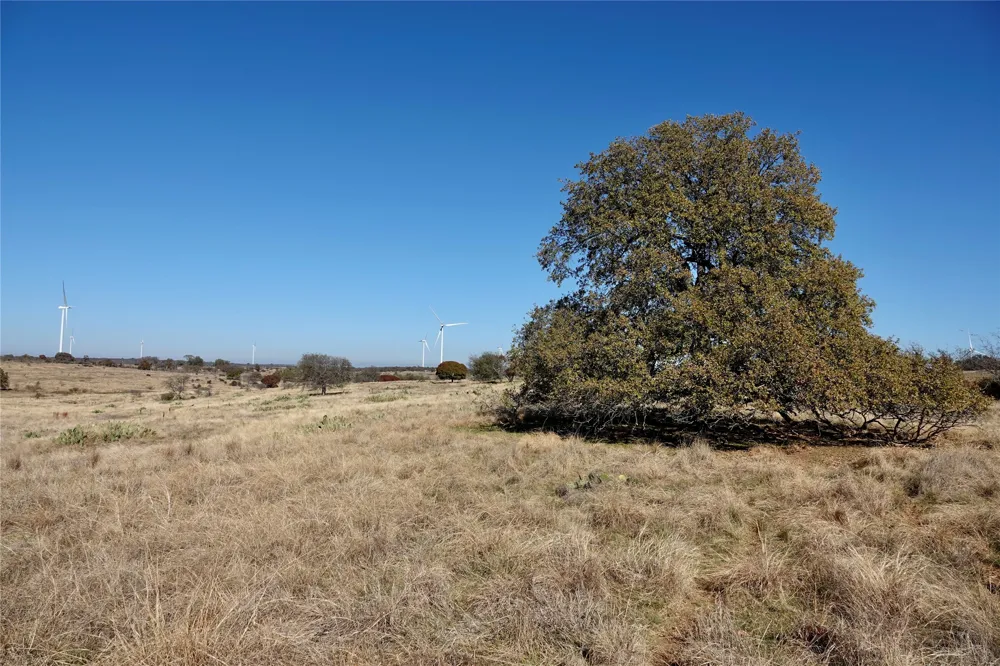801 SH 16 Priddy, TX 76870