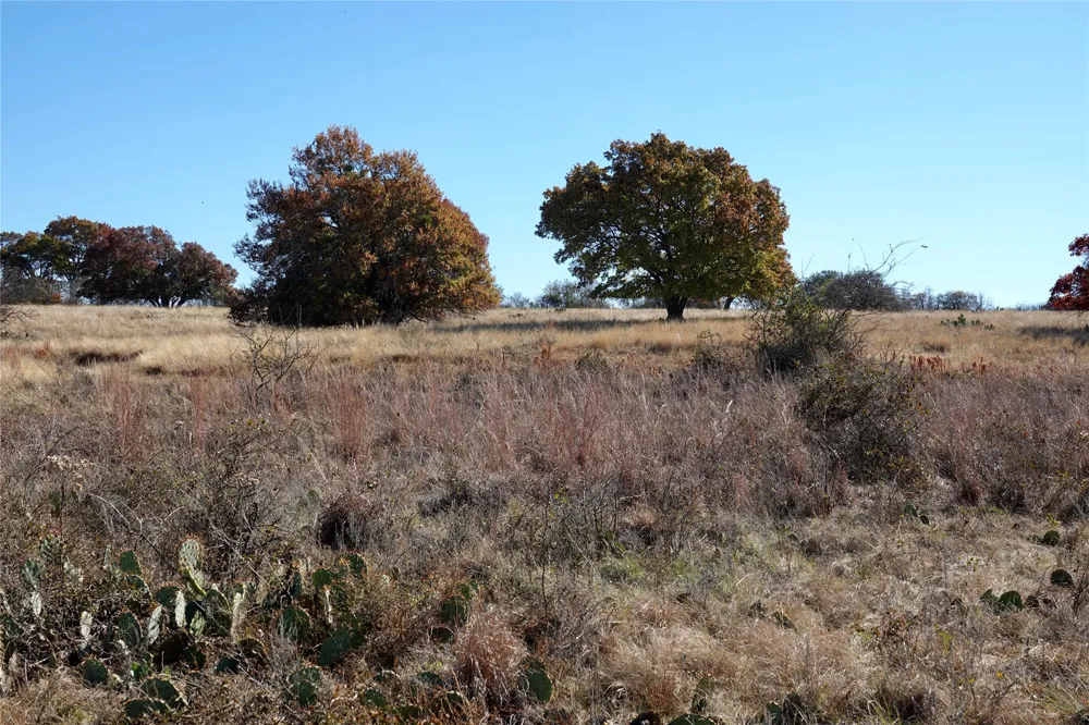 801 SH 16 Priddy, TX 76870