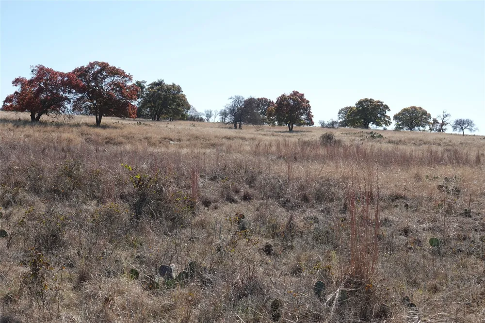 801 SH 16 Priddy, TX 76870
