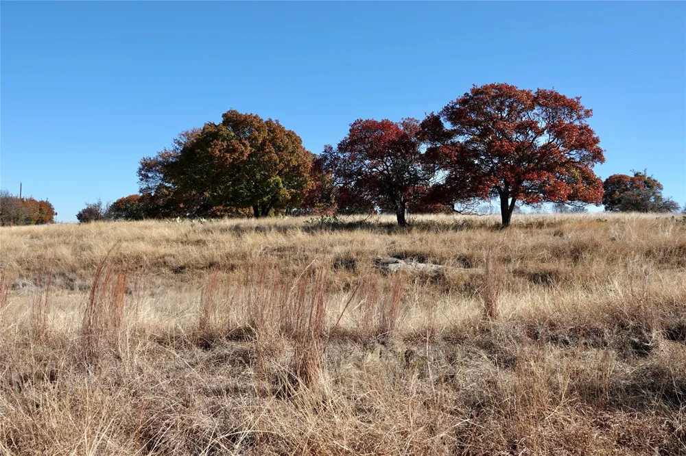 801 SH 16 Priddy, TX 76870
