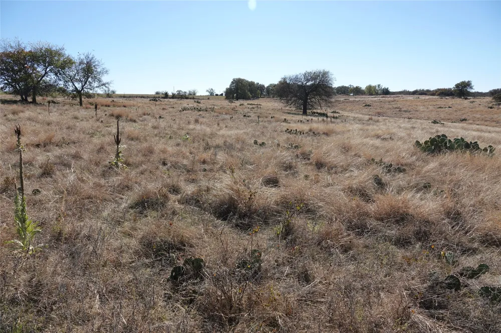801 SH 16 Priddy, TX 76870