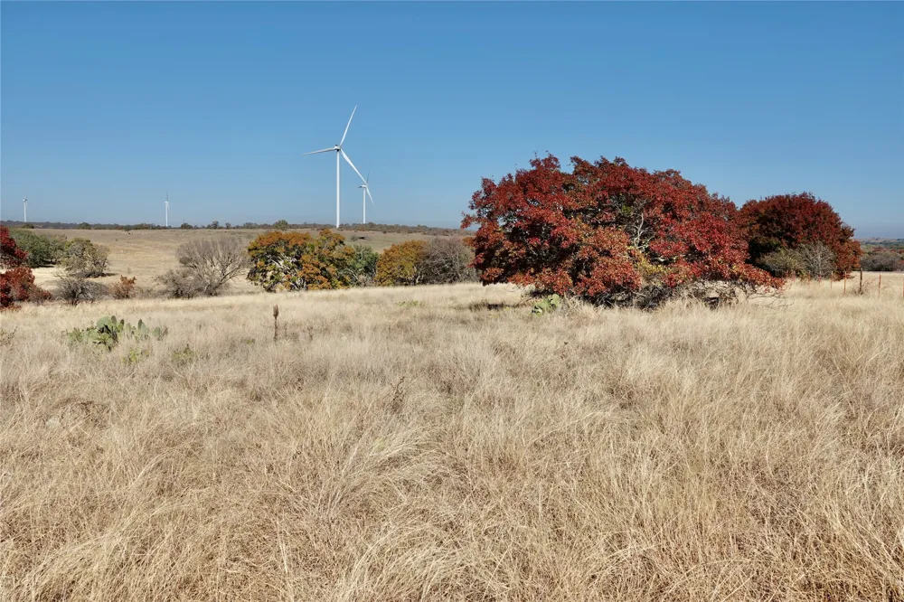 801 SH 16 Priddy, TX 76870