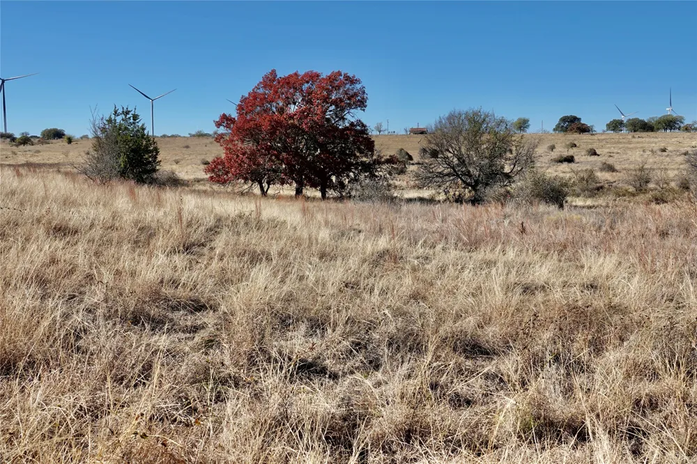 801 SH 16 Priddy, TX 76870