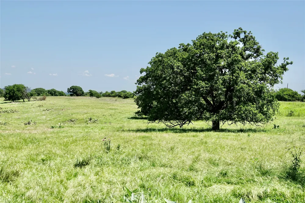 801 SH 16 Priddy, TX 76870