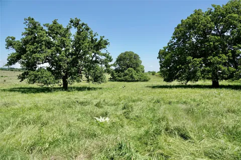 801 SH 16