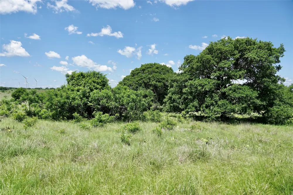 801 SH 16 Priddy, TX 76870