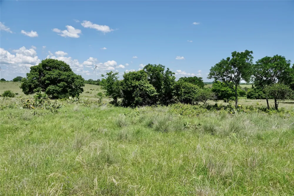 801 SH 16 Priddy, TX 76870