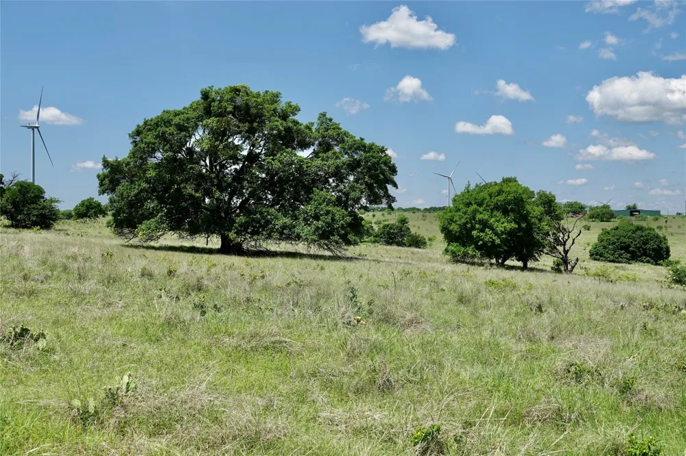 801 SH 16 Priddy, TX 76870