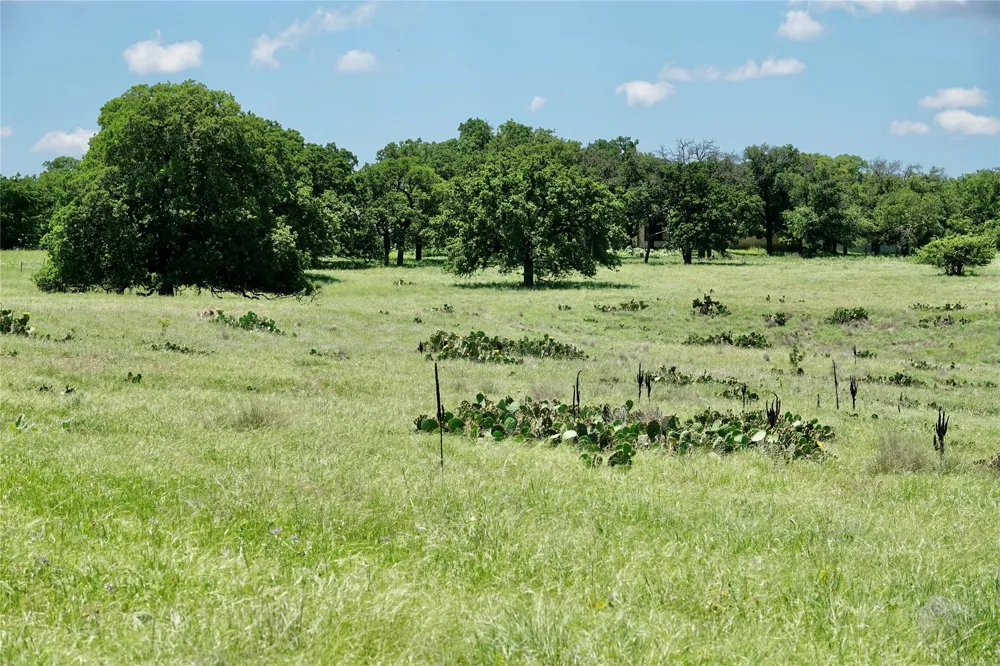 801 SH 16 Priddy, TX 76870