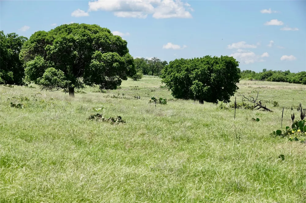 801 SH 16 Priddy, TX 76870