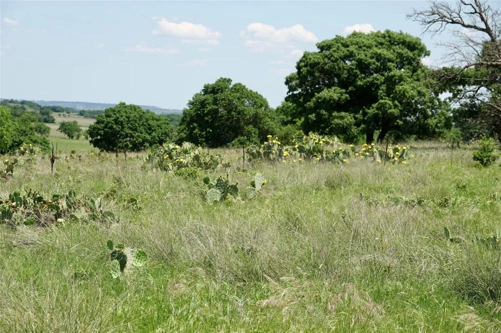 801 SH 16 Priddy, TX 76870