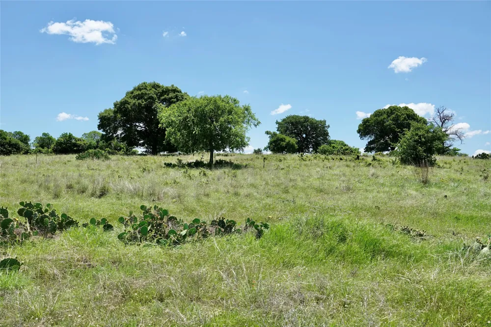 801 SH 16 Priddy, TX 76870