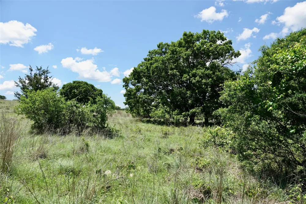 801 SH 16 Priddy, TX 76870
