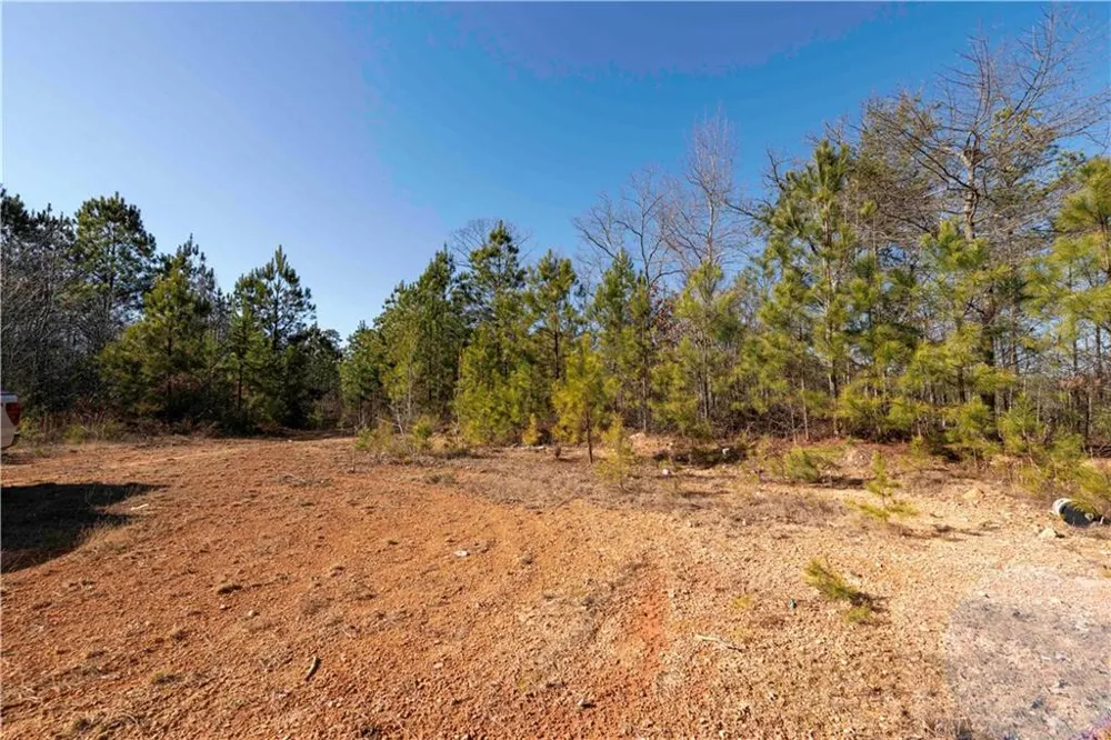 0 Sam Sutton Road NW Adairsville, GA 30103