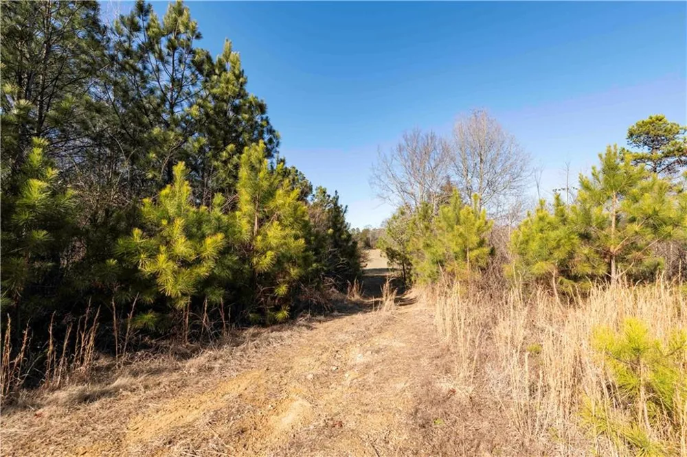 0 Sam Sutton Road NW Adairsville, GA 30103