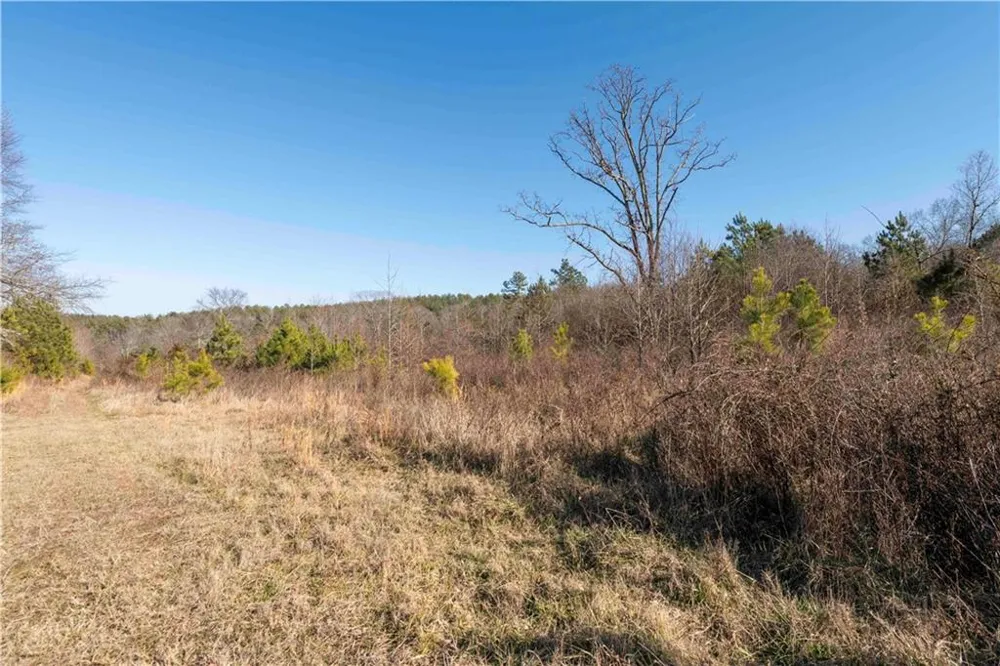 0 Sam Sutton Road NW Adairsville, GA 30103