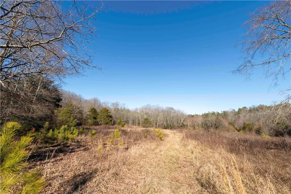 0 Sam Sutton Road NW Adairsville, GA 30103