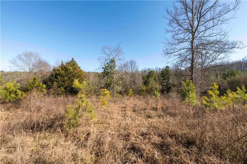 0 Sam Sutton Road NW Adairsville, GA 30103