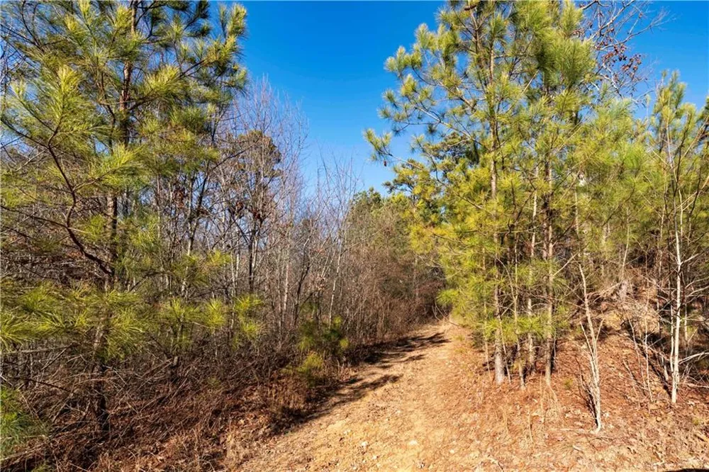 0 Sam Sutton Road NW Adairsville, GA 30103