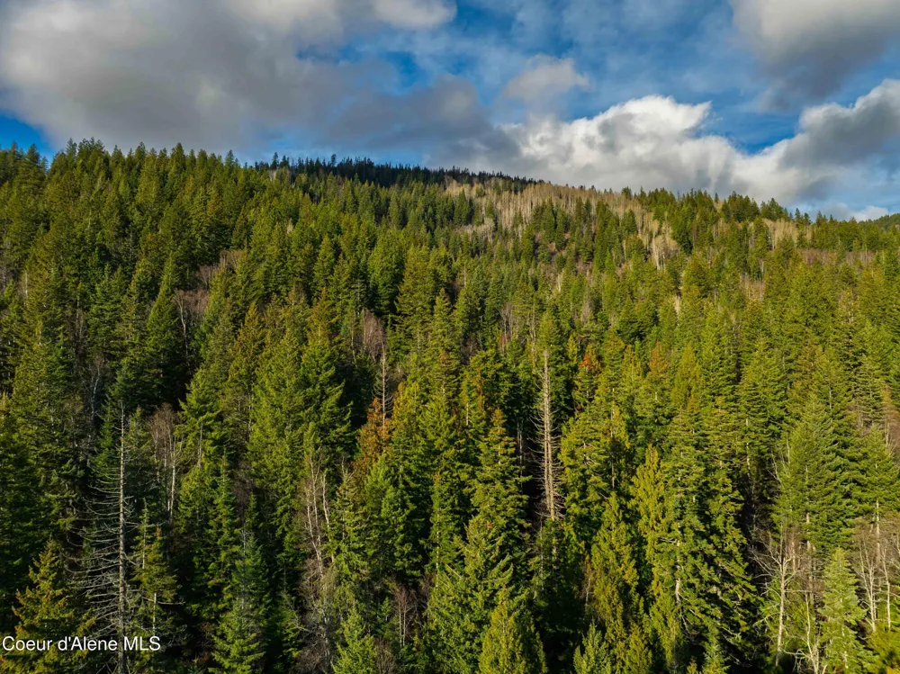 NNA 20.83acs Destiny Lane Sandpoint, ID 83864