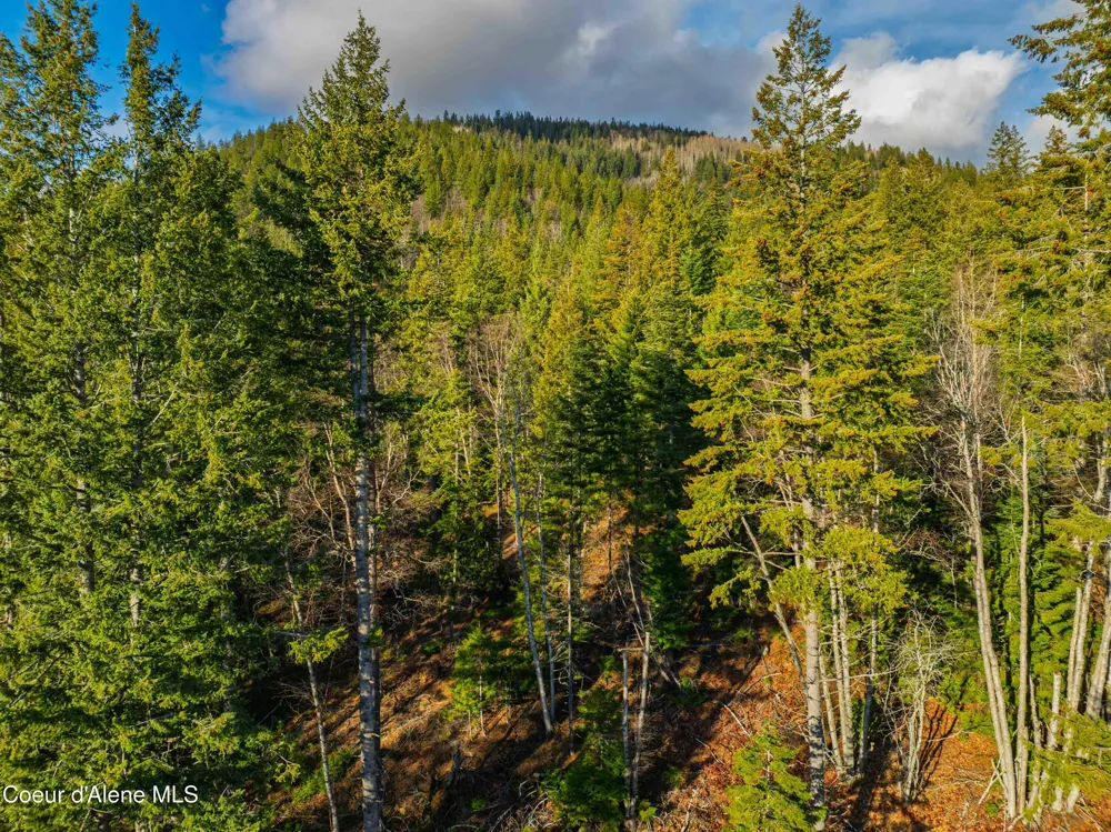 NNA 20.83acs Destiny Lane Sandpoint, ID 83864