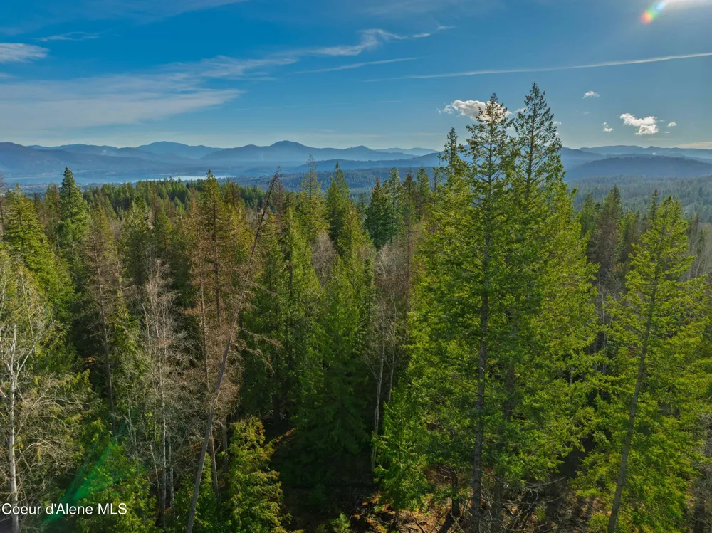 NNA 20.83acs Destiny Lane Sandpoint, ID 83864
