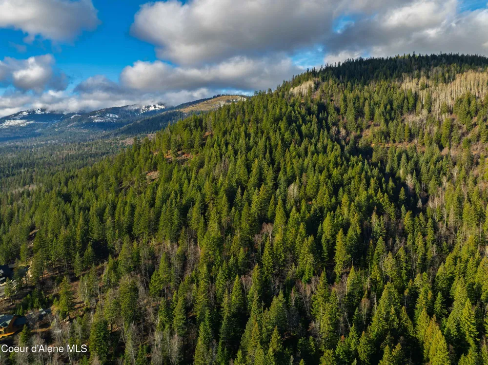 NNA 20.83acs Destiny Lane Sandpoint, ID 83864