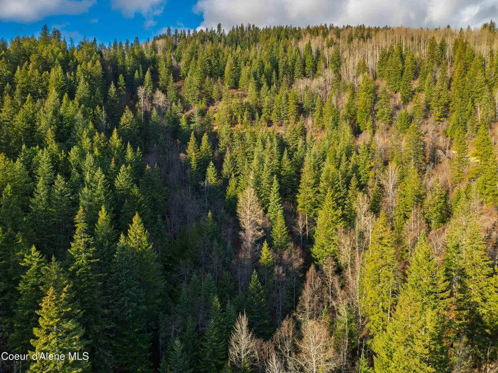 NNA 20.83acs Destiny Lane Sandpoint, ID 83864
