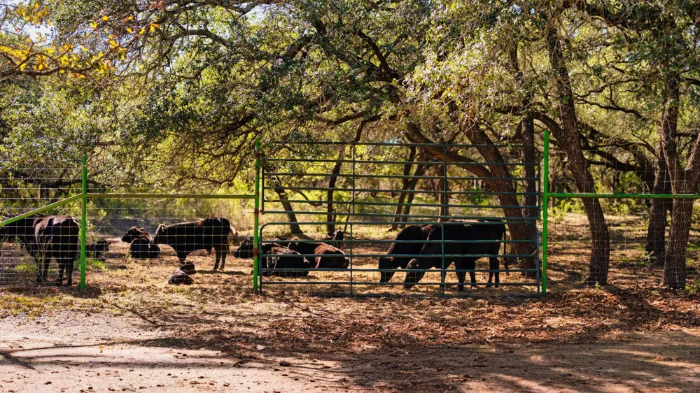 25711 Hamilton Pool Road Round Mountain, TX 78663