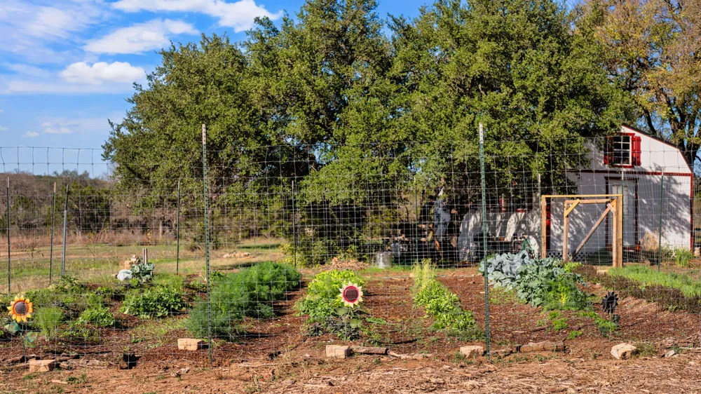 25711 Hamilton Pool Road Round Mountain, TX 78663