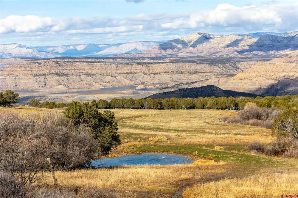 53999 Bull Basin Road Collbran, CO 81643