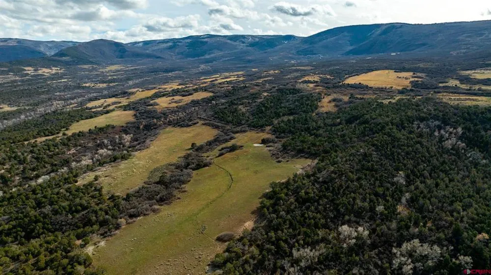 53999 Bull Basin Road Collbran, CO 81643