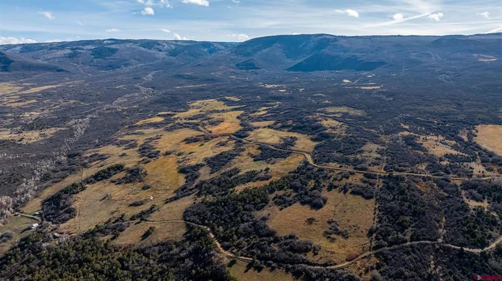 53999 Bull Basin Road Collbran, CO 81643