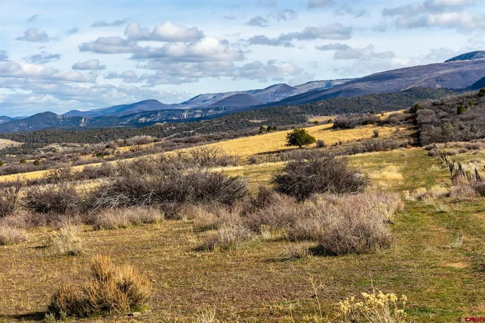 53999 Bull Basin Road Collbran, CO 81643