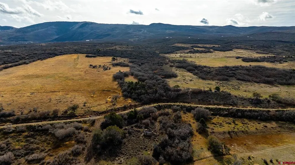 53999 Bull Basin Road Collbran, CO 81643