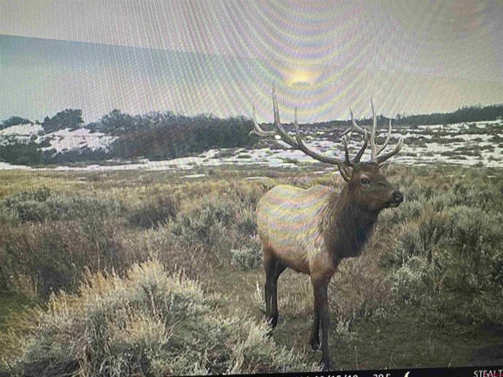 53999 Bull Basin Road Collbran, CO 81643