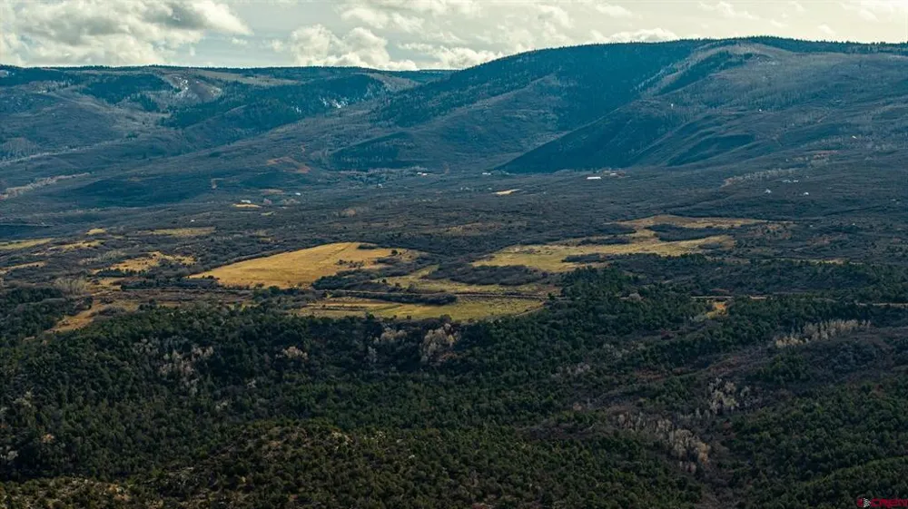 53999 Bull Basin Road Collbran, CO 81643