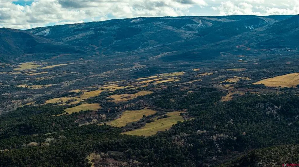 53999 Bull Basin Road Collbran, CO 81643