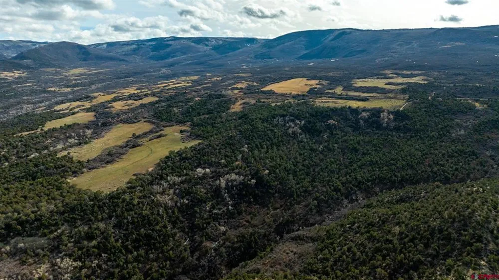 53999 Bull Basin Road Collbran, CO 81643