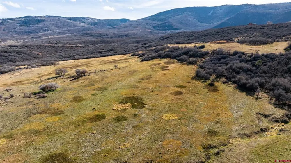 53999 Bull Basin Road Collbran, CO 81643
