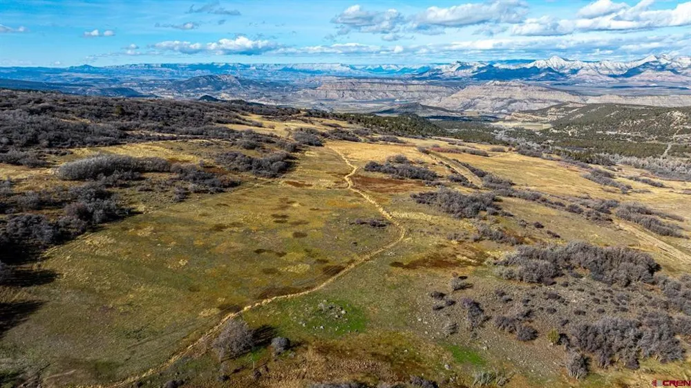 53999 Bull Basin Road Collbran, CO 81643