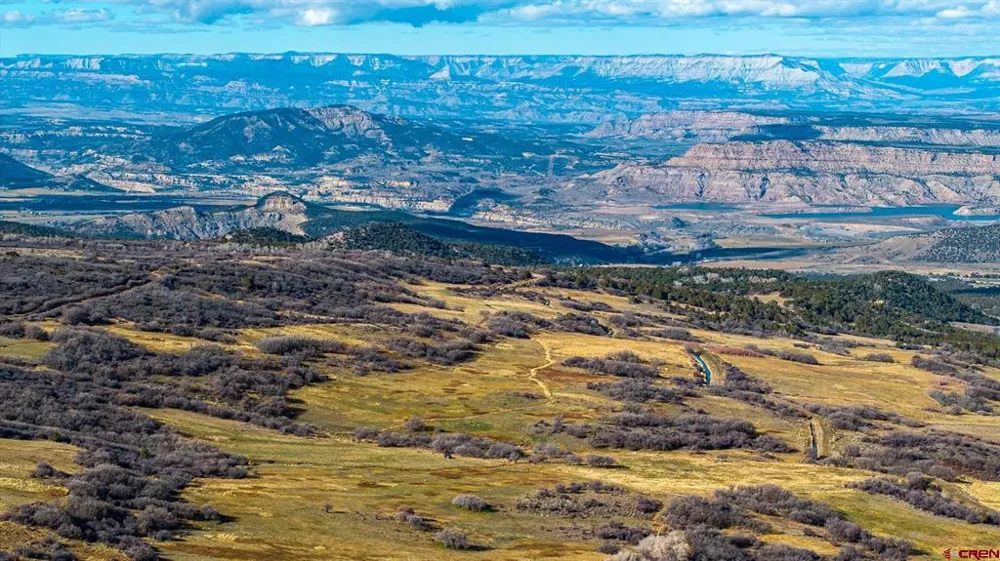 53999 Bull Basin Road Collbran, CO 81643