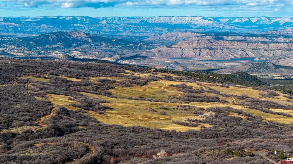 53999 Bull Basin Road Collbran, CO 81643