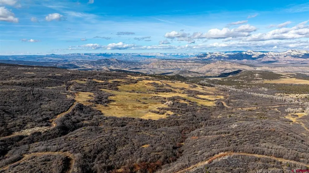 53999 Bull Basin Road Collbran, CO 81643