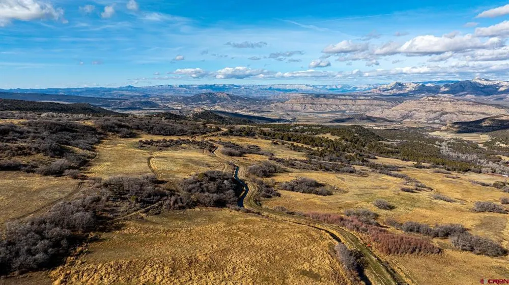 53999 Bull Basin Road Collbran, CO 81643