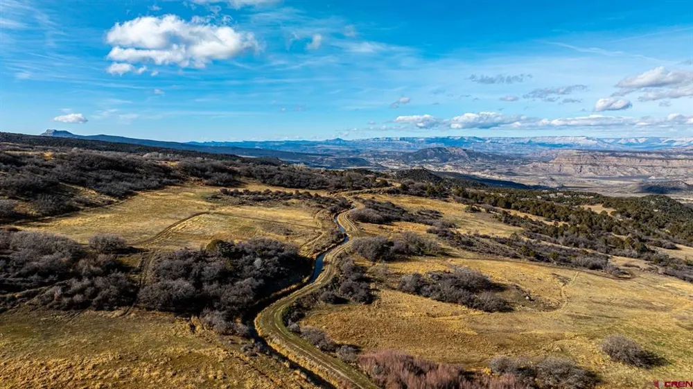 53999 Bull Basin Road Collbran, CO 81643