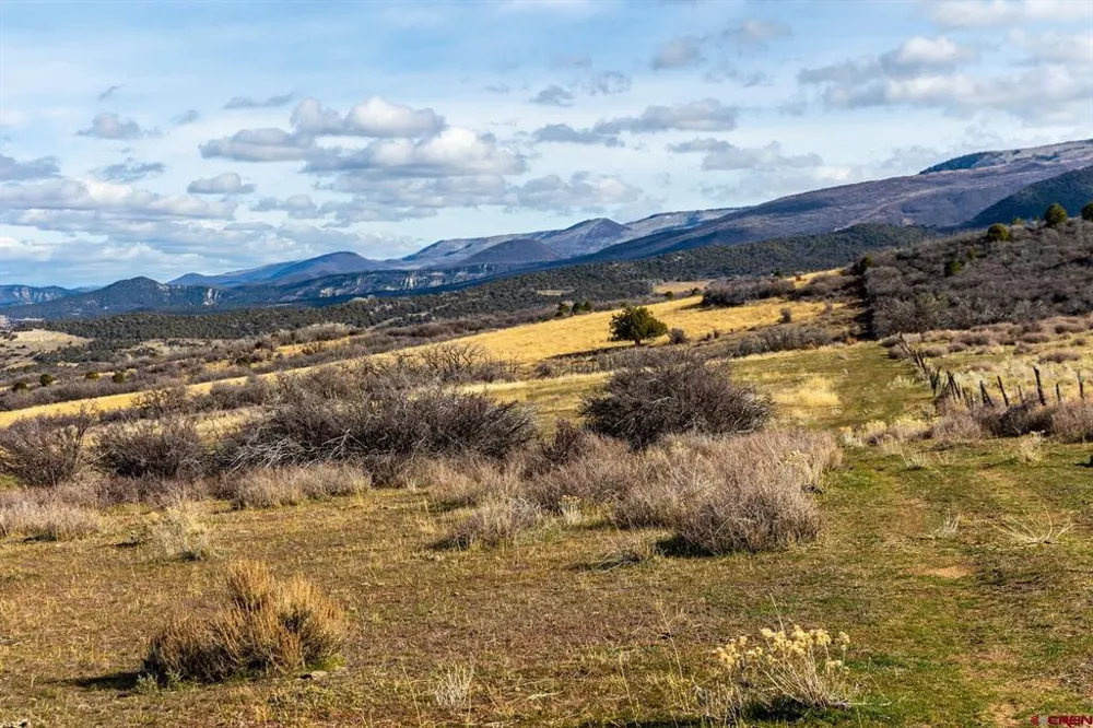 53999 Bull Basin Road Collbran, CO 81643