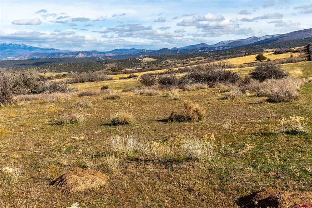 53999 Bull Basin Road Collbran, CO 81643